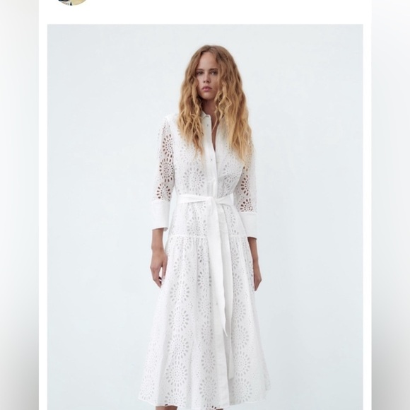 Zara embroidered perforated eyelet A-Line cotton Shirt Dress with long sleeves - Picture 10 of 12